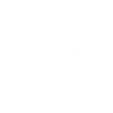 Ocean and Land Travel logo